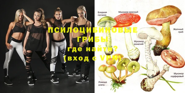 ECSTASY Абаза