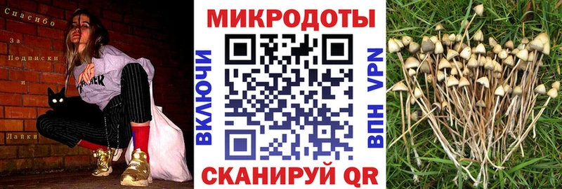 магазин продажи   Отрадное  Галлюциногенные грибы Psilocybine cubensis 